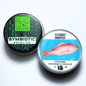 Real Cannabis Chris x Symbiotic Genetics ‘Rosario Snapper’ LE Reserva Privada Cold Cure Live Rosin 90-149u