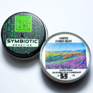 Real Cannabis Chris x Symbiotic Genetics ‘Pampas Flower Fields’ LE Reserva Privada Cold Cure Live Rosin 90-149u