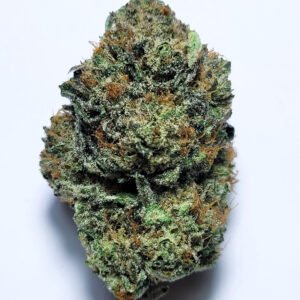 Pine Sol Paradise by Fresh Flower Vibez