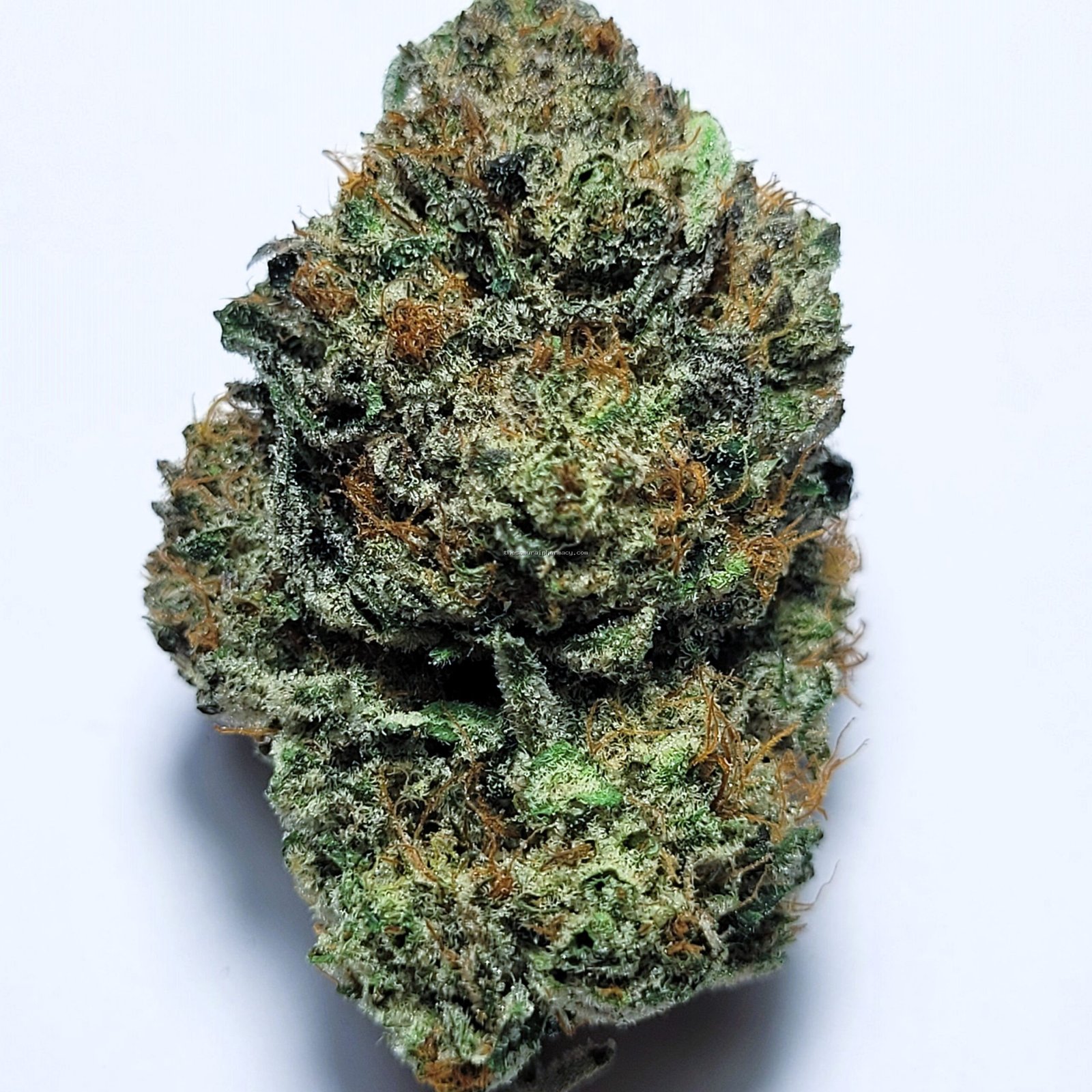 Pine Sol Paradise by Fresh Flower Vibez