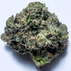 Voodoo Lily by Fresh Flower Vibez