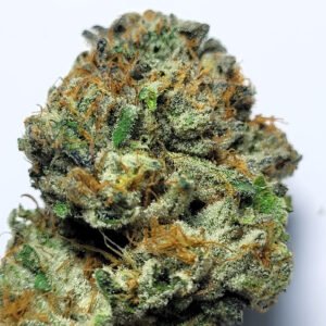 Georgia Pie Master G Cut by Irie Grown Roots